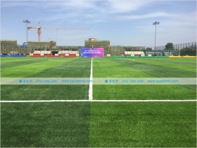 陕西省西安市——城市主场（西安）体育发展有限公司